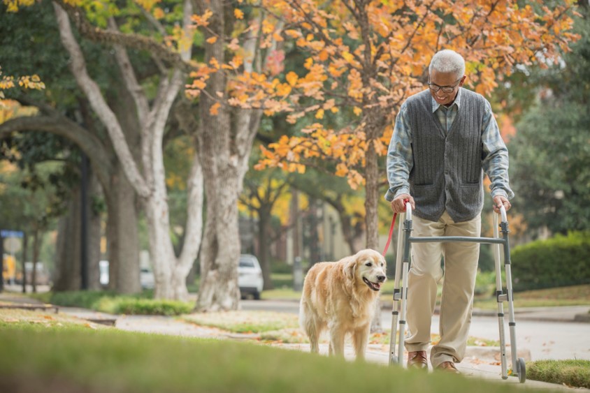 Man out for a walk (using his walker) with his dog
